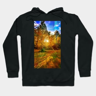 Golden Autumn Hoodie